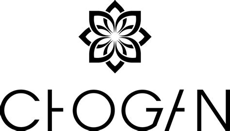 chogangroupspa.com.